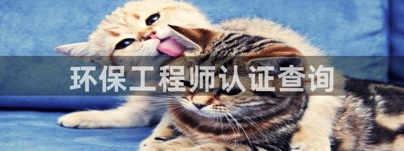 彩名堂预测软件：环保工程师认证查询