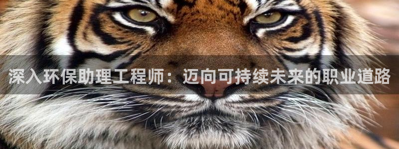 彩名堂预测软件：深入环保助理工程师：