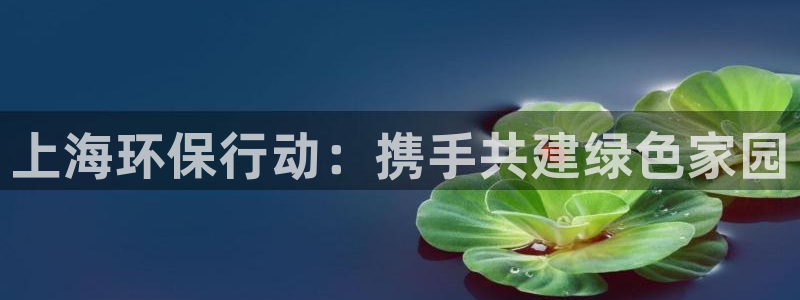 彩名堂上推荐的几个平台怎样：上海环保