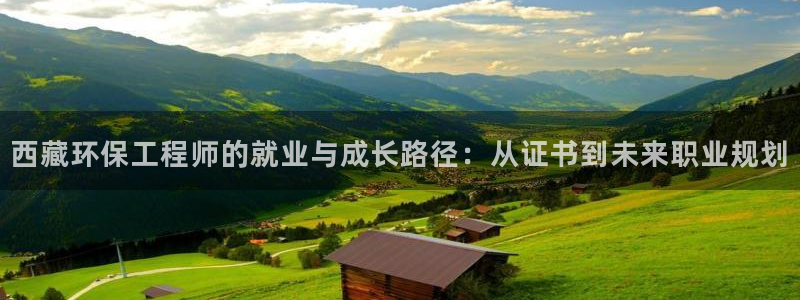 彩名堂客户端加拿大：西藏环保工程师的