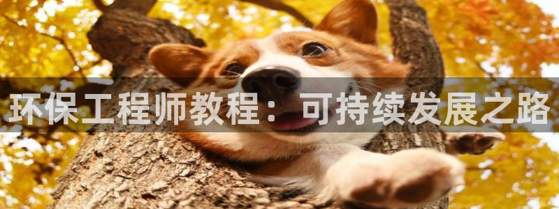 彩名堂计划怎么出的：环保工程师教程：