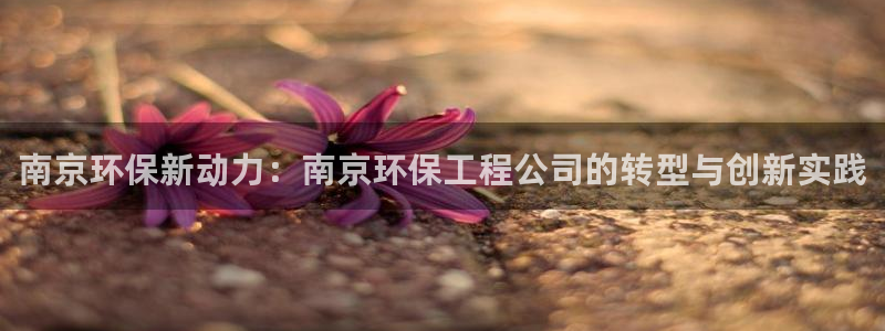 彩名堂最新版www：南京环保新动力：