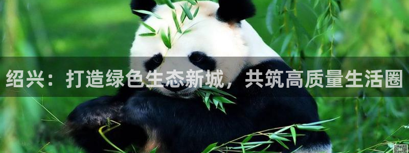 彩名堂怎么选稳定计划：绍兴：打造绿色