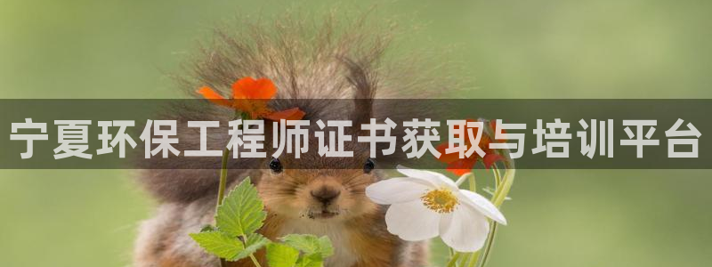 彩名堂为什么突然不能用了：宁夏环保工