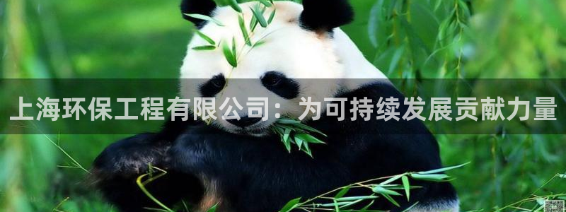 彩名堂好用还是千里马好用：上海环保工