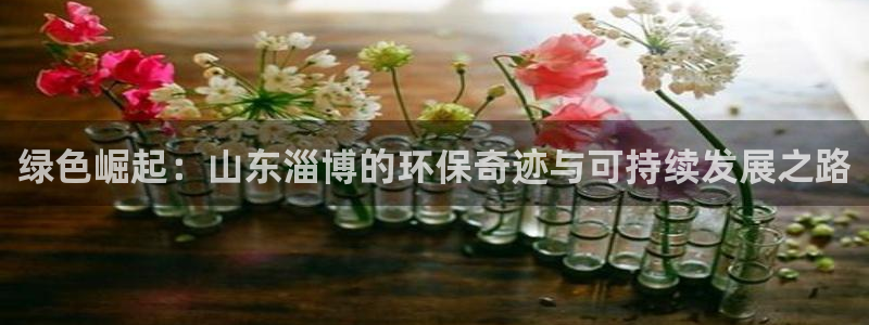 彩名堂全天计划：绿色崛起：山东淄博的环保奇迹与可持续发展之路