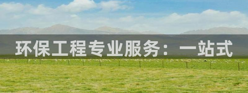 彩名堂下载官网：环保工程专业服务：一