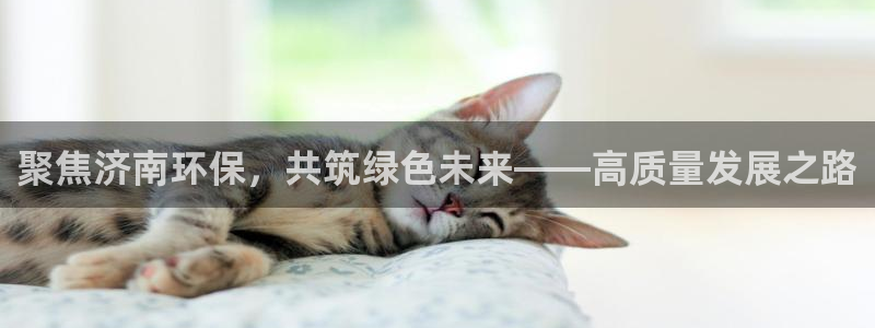 彩名堂官网客户端：聚焦济南环保，共筑绿色未来——高质量发展之