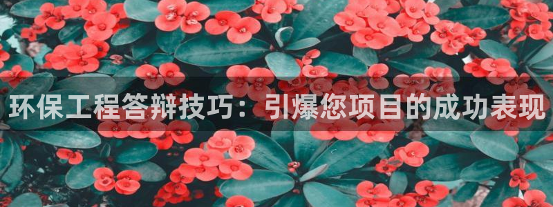 正规彩名堂官网计划：环保工程答辩技巧