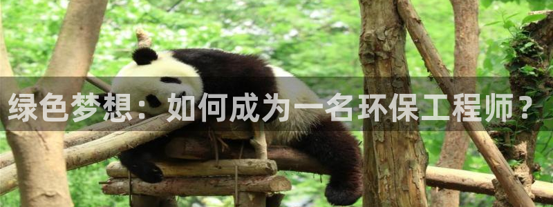 彩名堂最新预测3d：绿色梦想：如何成