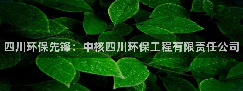 彩名堂官网计划怎么下载：四川环保先锋：中核四川环保工程有限责