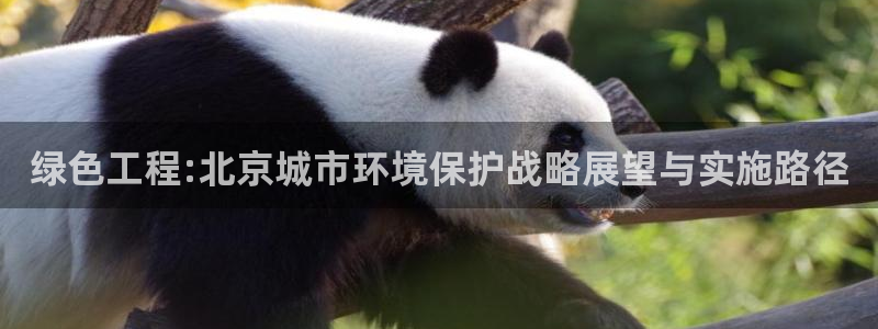 彩名堂免费计划官网50下载957：绿色工程:北京城市环境保护战略展望与实施路径