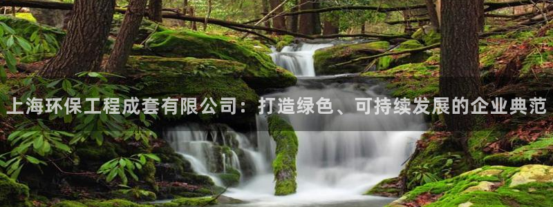 彩名堂平台：上海环保工程成套有限公司
