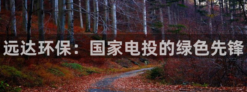 彩名堂怎么跟计划才不连挂在一起：远达