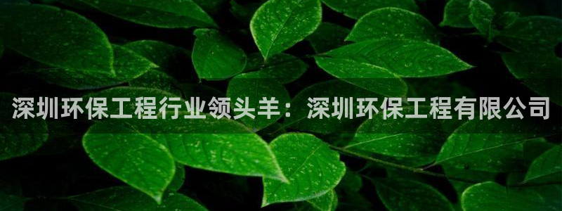 彩名堂50版本计划：深圳环保工程行业