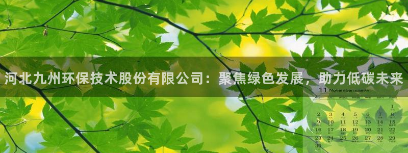 如何进入彩名堂官网更新：河北九州环保