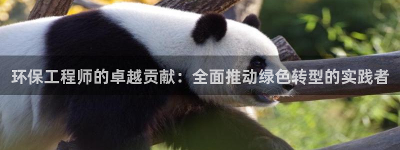 如何进入彩名堂官网更新：环保工程师的