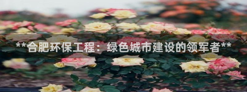 彩名堂客户端官网：**合肥环保工程：绿色城市建设的领军者**
