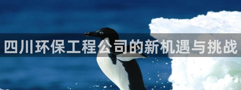 彩名堂app官网：四川环保工程公司的新机遇与挑战