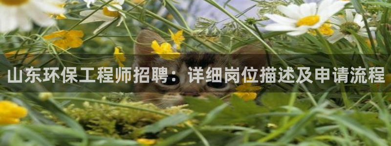 彩名堂5.0计划：山东环保工程师招聘：详细岗位描述及申请流程
