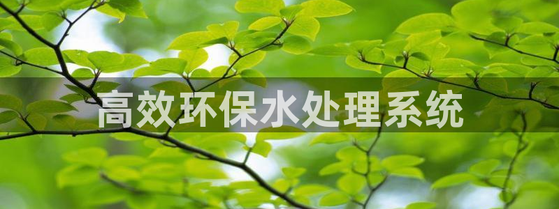 彩名堂50版本计划：高效环保水处理系统
