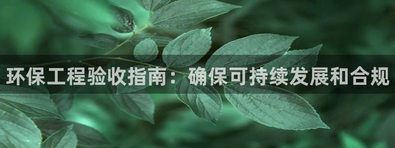 最新彩名堂计划：环保工程验收指南：确保可持续发展和合规