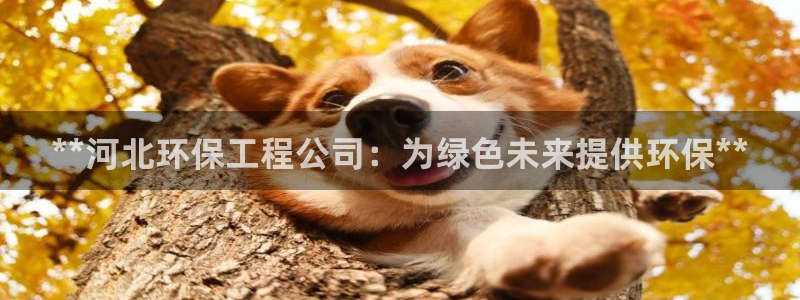 彩名堂手机客户端怎么下载：**河北环