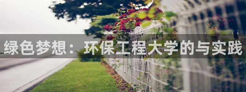 彩名堂人工计划怎么找不到下载了?：绿