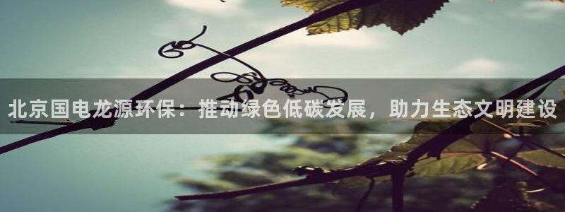 彩名堂加拿大怎么买准确率高：北京国电龙源环保：推动绿色低碳发