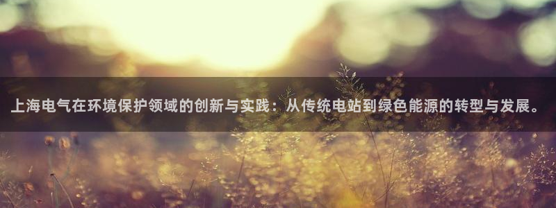 彩名堂手机客户端怎么下载：上海电气在环境保护领域的创新与实践