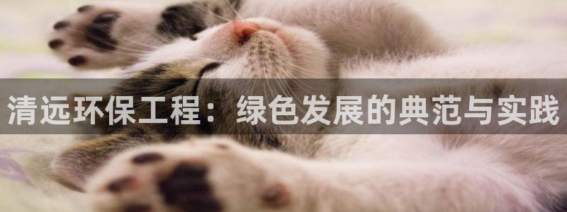彩名堂app下载5.1.0：清远环保工程：绿色发展的典范与实