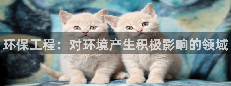 彩名堂旧版本：环保工程：对环境产生积