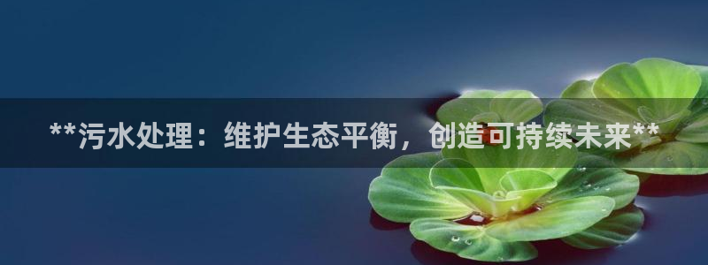 为什么彩名堂今天不能用：**污水处理：维护生态平衡，创造可持续未来**