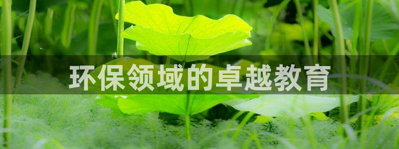 彩名堂客服：环保领域的卓越教育