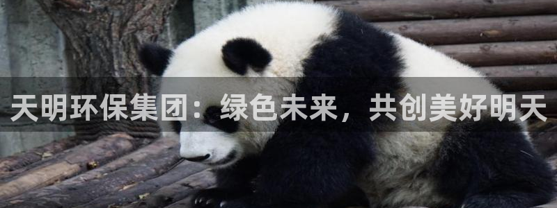 彩名堂预测软件与分析软件区别：天明环