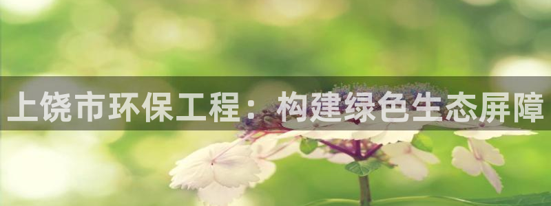 彩名堂预测软件与分析软件区别：上饶市