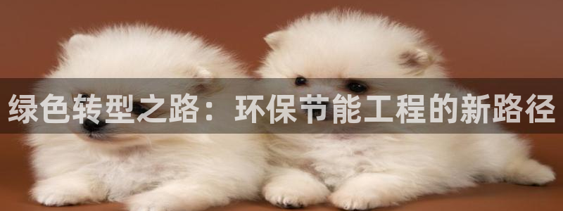 彩名堂5.0计划：绿色转型之路：环保
