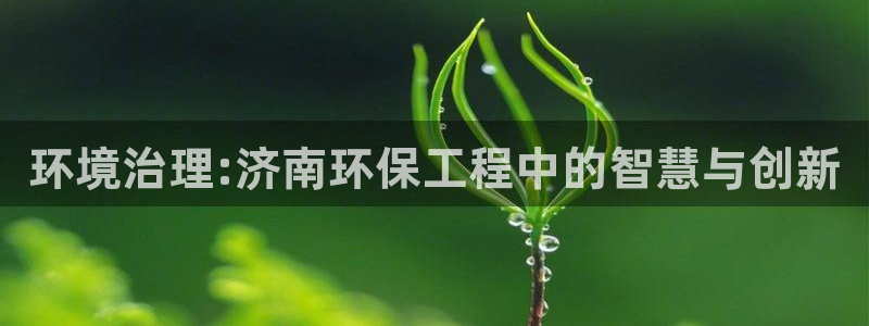 彩名堂最新免费计划官网：环境治理:济
