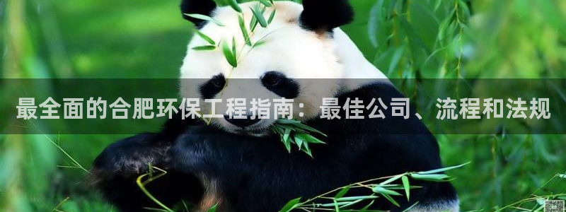 彩名堂免费计划官网5 0：最全面的合