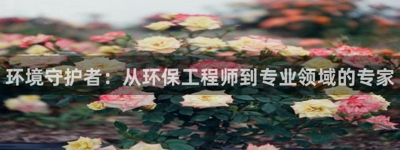 彩名堂改名稻草人了吗：环境守护者：从环保工程师到专业领域的专