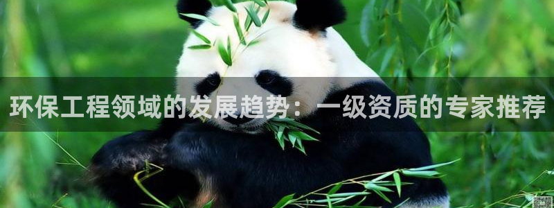 彩名堂计划怎么买胜率高：环保工程领域的发展趋势：一级资质的专